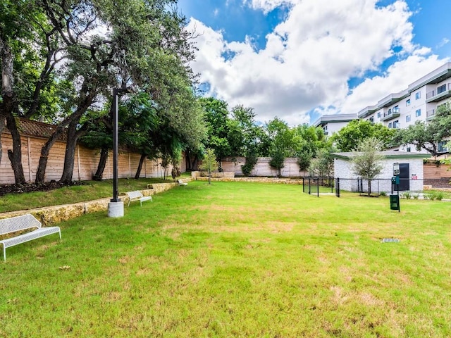 4802 S Congress Ave Unit 310, Austin, TX 78745 - view of yard