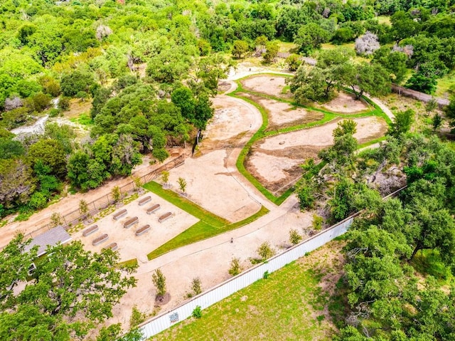 4802 S Congress Ave Unit 310, Austin, TX 78745 - bird's eye view