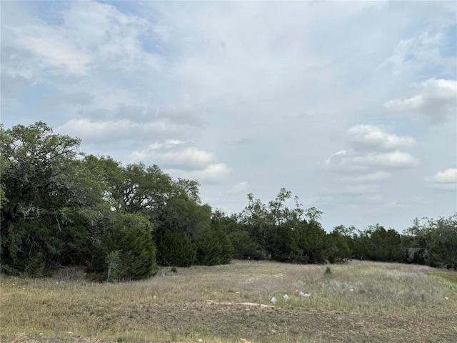 810 Sage Thrasher Cir, Dripping Springs, TX 78620 - view of tree filled area