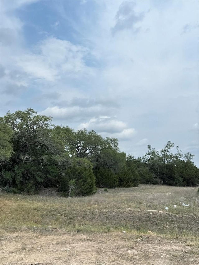 810 Sage Thrasher Cir, Dripping Springs, TX 78620 - view of wooded area