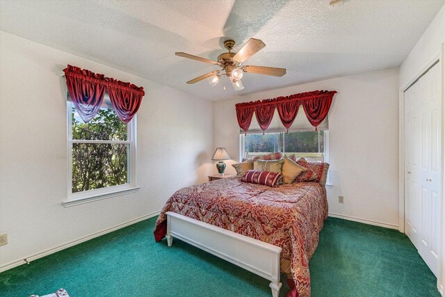 401 E Westfall Trl, Liberty Hill, TX 78642 - photo 15