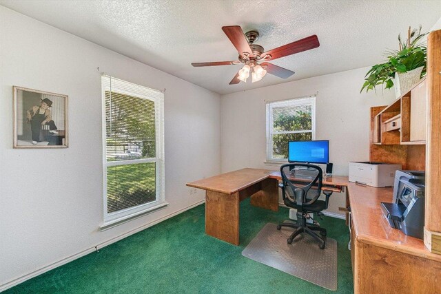 401 E Westfall Trl, Liberty Hill, TX 78642 - photo 18