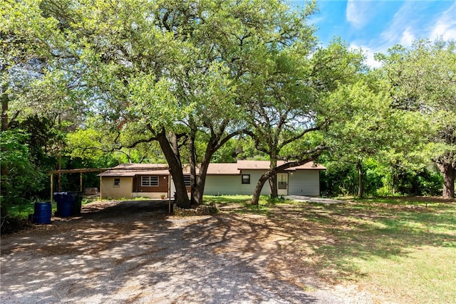 17903 Lafayette Park Rd, Jonestown, TX 78645 - view of front facade with driveway and view of scattered trees