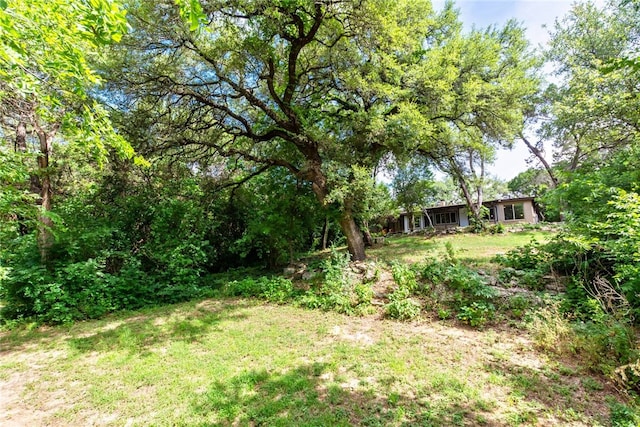 17903 Lafayette Park Rd, Jonestown, TX 78645 - view of green lawn
