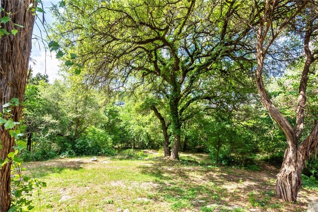 17903 Lafayette Park Rd, Jonestown, TX 78645 - photo 23