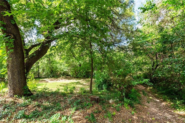 17903 Lafayette Park Rd, Jonestown, TX 78645 - photo 24
