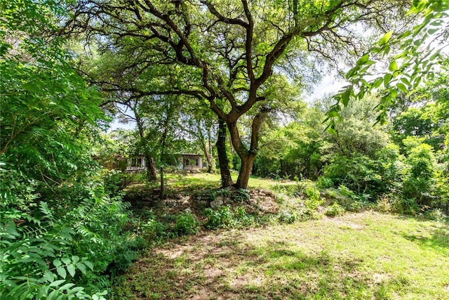 17903 Lafayette Park Rd, Jonestown, TX 78645 - view of yard