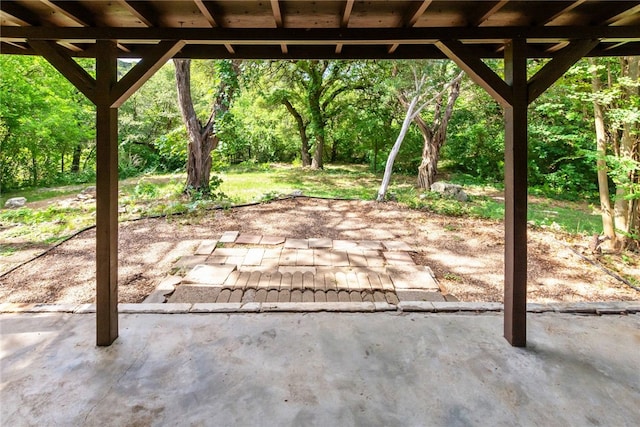 17903 Lafayette Park Rd, Jonestown, TX 78645 - view of patio / terrace