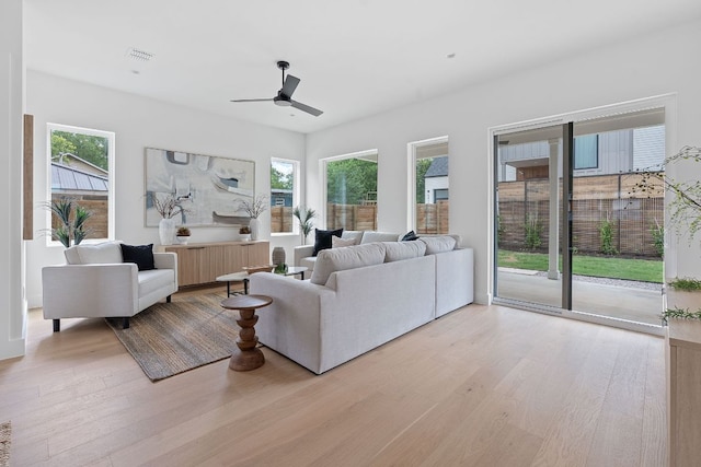 6410 Cannonleague Dr Unit 1, Austin, TX 78745 - living area with light wood finished floors, ceiling fan, and plenty of natural light