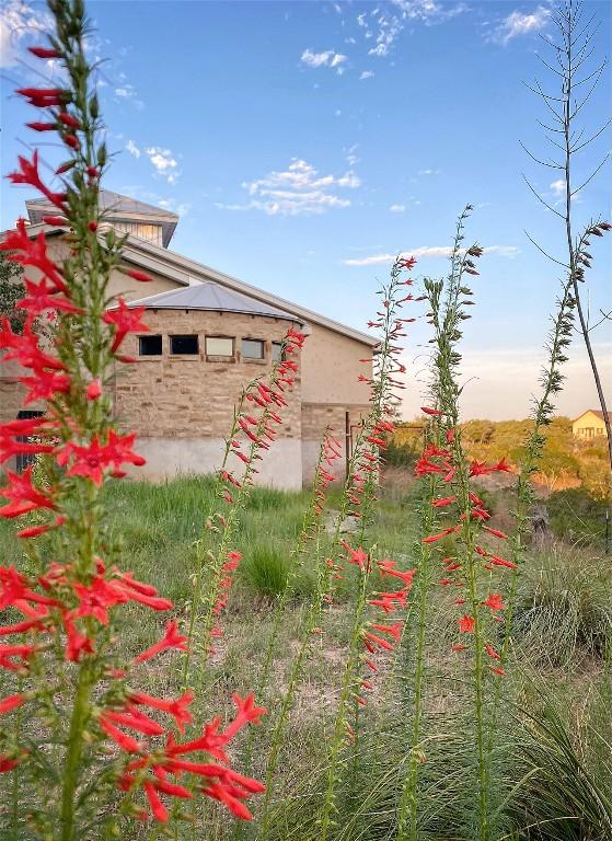 165 Highridge Ln, Fredericksburg, TX 78624 - view of yard