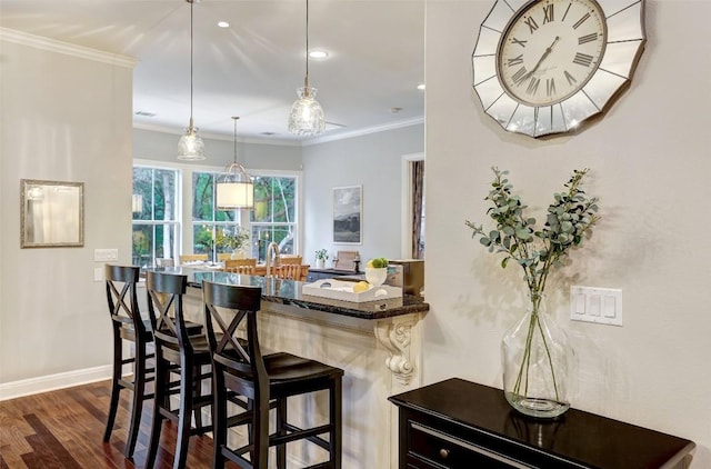9301 San Lucas Dr, Austin, TX 78737 - bar area featuring ornamental molding, dark wood-type flooring, pendant lighting, baseboards, and recessed lighting