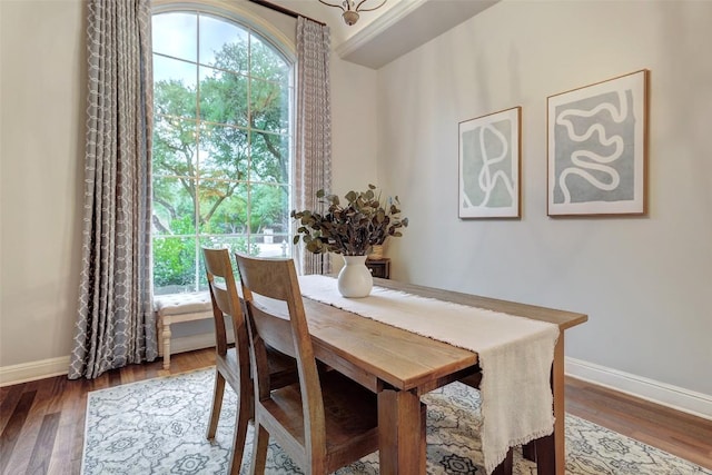 9301 San Lucas Dr, Austin, TX 78737 - dining room featuring baseboards, healthy amount of natural light, and wood finished floors