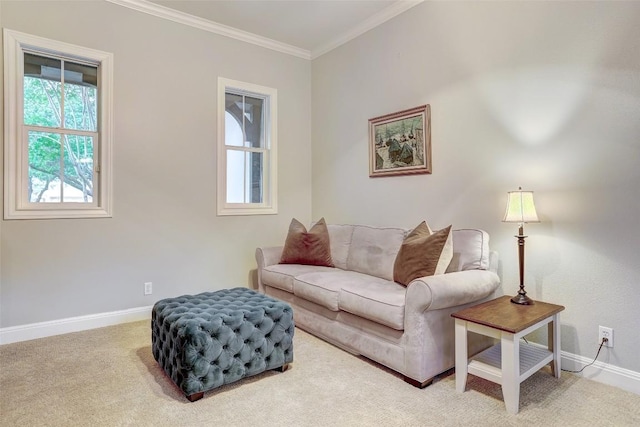 9301 San Lucas Dr, Austin, TX 78737 - living area featuring baseboards, crown molding, and carpet flooring