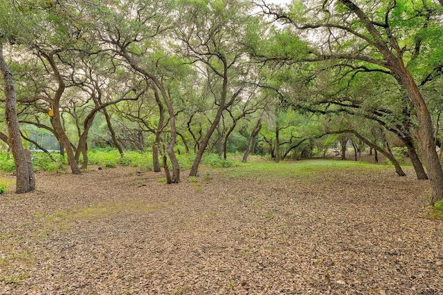 9301 San Lucas Dr, Austin, TX 78737 - view of yard