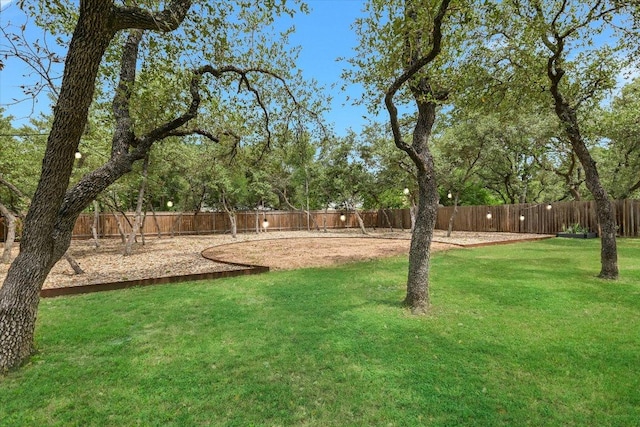 1811 Hatch Rd, Cedar Park, TX 78613 - view of yard