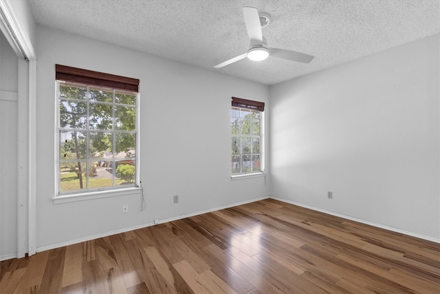 3104 Rexford Dr, Austin, TX 78723 - empty room with plenty of natural light, wood finished floors, a textured ceiling, and ceiling fan