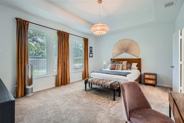 267 Razzmatazz Trl, Buda, TX 78610 - bedroom with multiple windows, carpet, and a tray ceiling