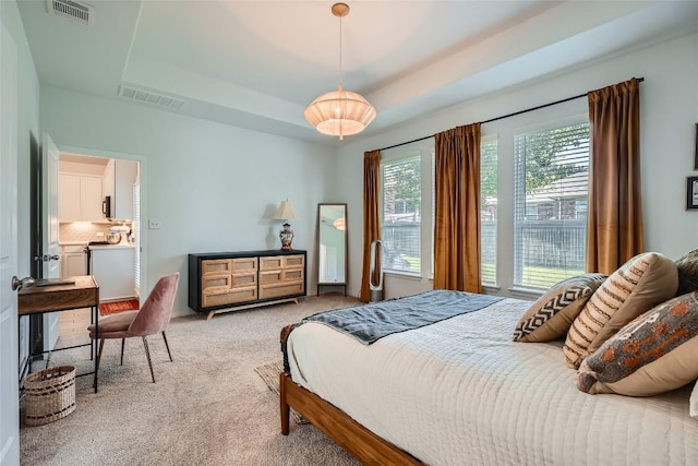 267 Razzmatazz Trl, Buda, TX 78610 - carpeted bedroom featuring a raised ceiling