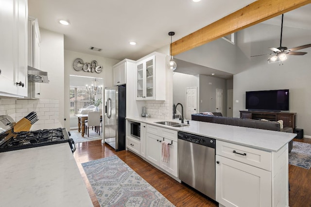 1609 Churchill Cv, Cedar Park, TX 78613 - kitchen featuring a sink, stainless steel appliances, a peninsula, under cabinet range hood, and ceiling fan