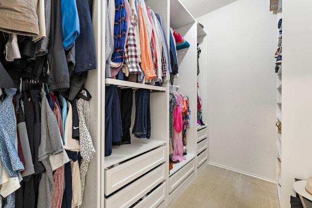 1609 Churchill Cv, Cedar Park, TX 78613 - spacious closet with light carpet