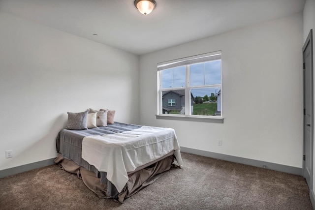 2121 Local Rebel Loop, Leander, TX 78641 - bedroom with carpet flooring
