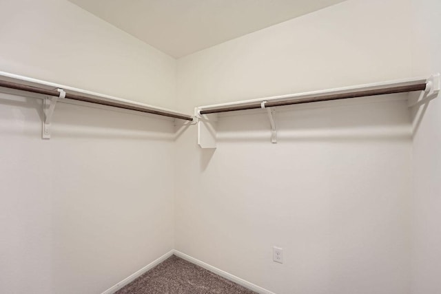 14309 Deaf Smith Blvd, Austin, TX 78725 - walk in closet featuring carpet