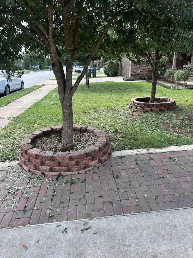 14309 Deaf Smith Blvd, Austin, TX 78725 - view of grassy yard