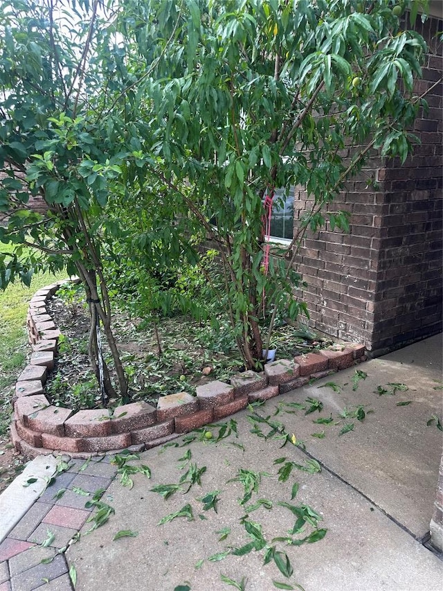14309 Deaf Smith Blvd, Austin, TX 78725 - view of yard