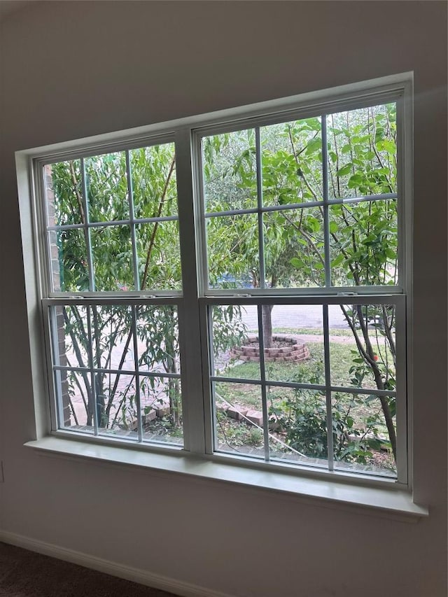 14309 Deaf Smith Blvd, Austin, TX 78725 - detailed view of baseboards