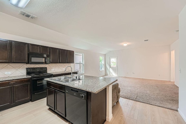 14309 Deaf Smith Blvd, Austin, TX 78725 - kitchen with black appliances, a sink, open floor plan, light wood-type flooring, and vaulted ceiling