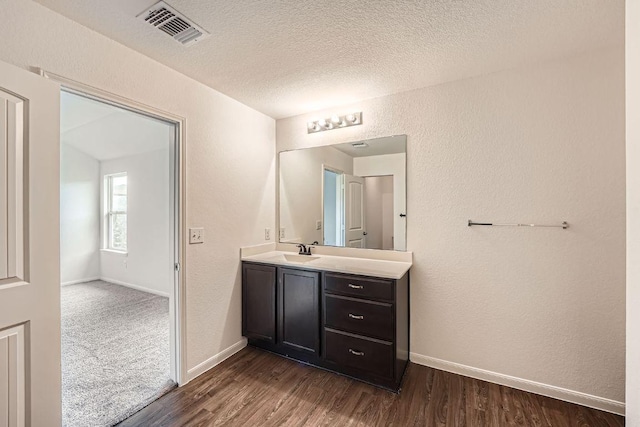 14309 Deaf Smith Blvd, Austin, TX 78725 - bathroom with vanity, wood finished floors, a textured ceiling, and a textured wall