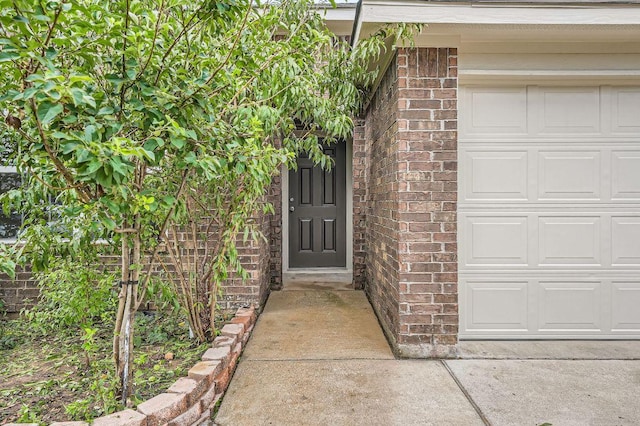 14309 Deaf Smith Blvd, Austin, TX 78725 - property entrance with brick siding