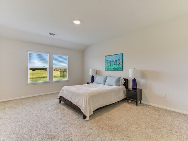102 Sandpiper Dr, Bastrop, TX 78602 - carpeted bedroom with baseboards
