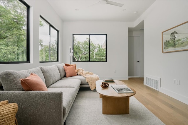 7809 Hardy Dr, Austin, TX 78757 - living room featuring light wood finished floors and a ceiling fan