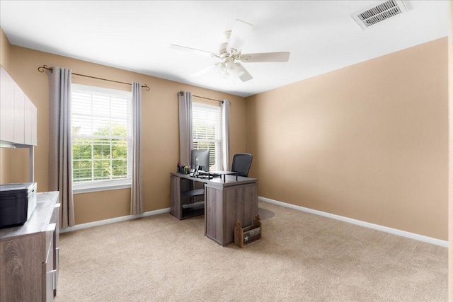 141 Wildcat Draw Dr, Buda, TX 78610 - office area with light carpet, healthy amount of natural light, and baseboards