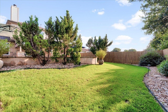 141 Wildcat Draw Dr, Buda, TX 78610 - view of yard