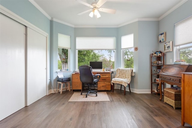 131 Nolan Dr, Georgetown, TX 78633 - home office with wood finished floors, ceiling fan, ornamental molding, and baseboards