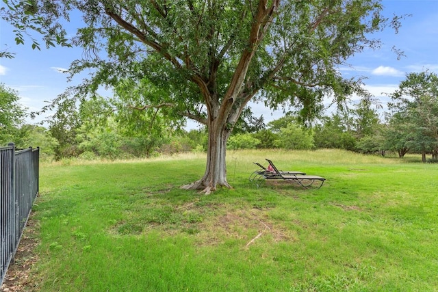 131 Nolan Dr, Georgetown, TX 78633 - view of yard