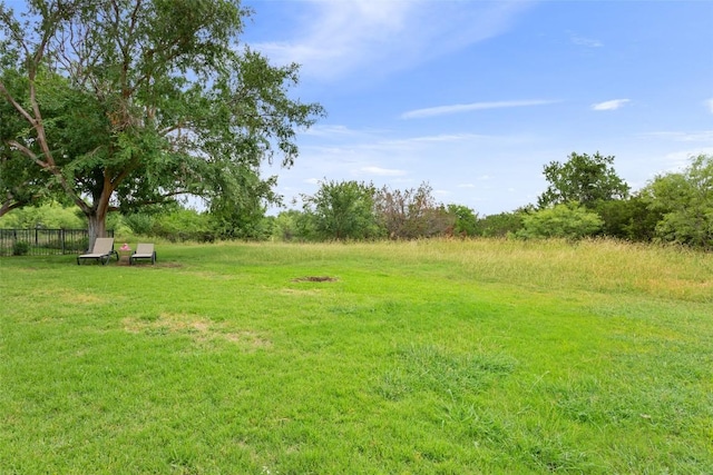 131 Nolan Dr, Georgetown, TX 78633 - view of yard
