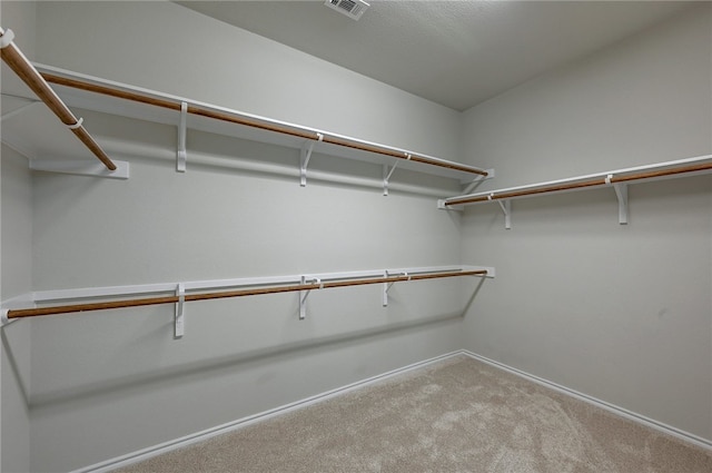 14925 Via Del Corso Dr, Austin, TX 78738 - walk in closet with carpet
