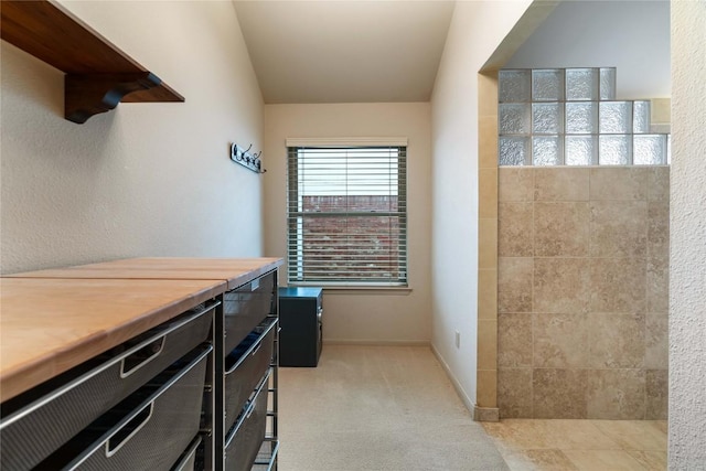 3109 Sesbania Dr, Austin, TX 78748 - full bath featuring a tile shower and baseboards