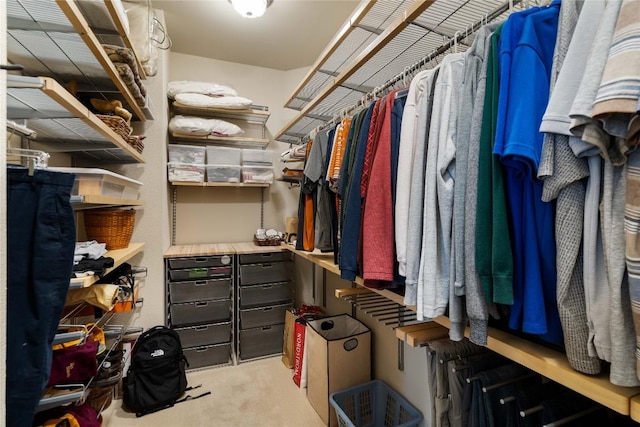 3109 Sesbania Dr, Austin, TX 78748 - spacious closet with carpet flooring