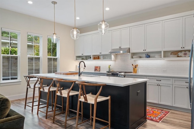 4605 Englewood Dr Unit A, Austin, TX 78745 - kitchen featuring under cabinet range hood, tasteful backsplash, recessed lighting, light wood-type flooring, and light countertops