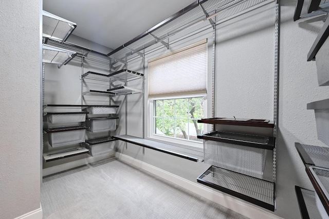 2109 W 10th St, Austin, TX 78703 - walk in closet featuring carpet floors