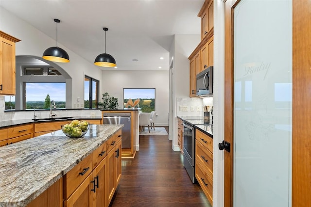 321 Hannah Dr, Dripping Springs, TX 78620 - kitchen with appliances with stainless steel finishes, a sink, tasteful backsplash, dark wood finished floors, and recessed lighting