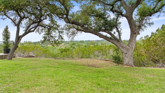321 Hannah Dr, Dripping Springs, TX 78620 - view of grassy yard