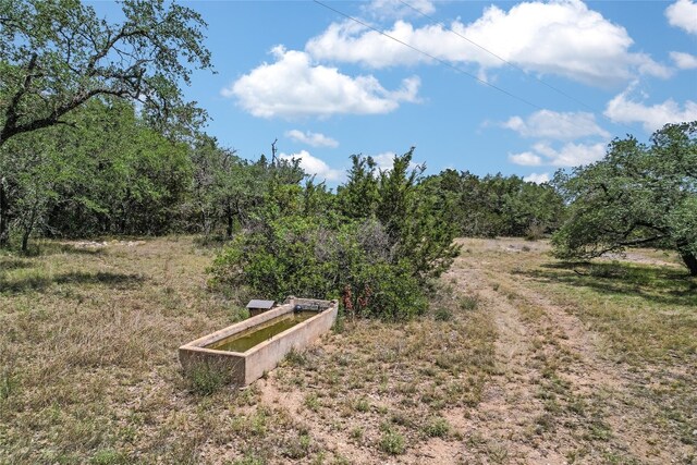 199 Middleton Rd, Spicewood, TX 78669 - photo 32