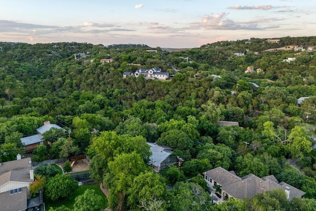 907 The High Rd, Austin, TX 78746 - aerial view of a forest