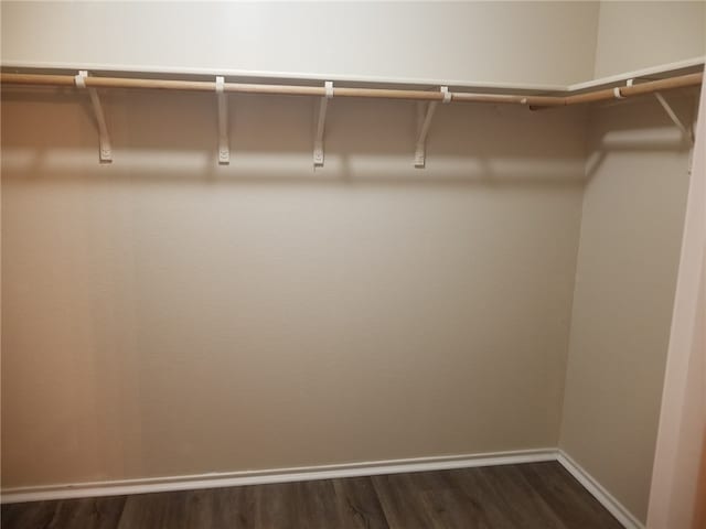 1516 Anise Dr, Austin, TX 78741 - walk in closet with dark wood-style floors