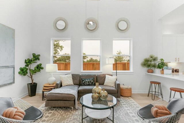 2705 Sage Ranch Dr Unit 2, Leander, TX 78641 - living area with wood finished floors, a towering ceiling, and baseboards